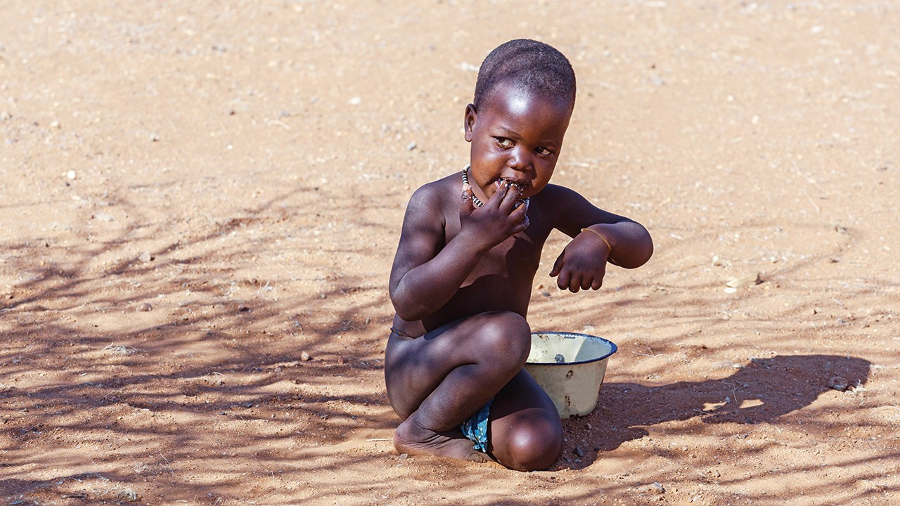 735 milyon insan açlıkla mücadele ediyor